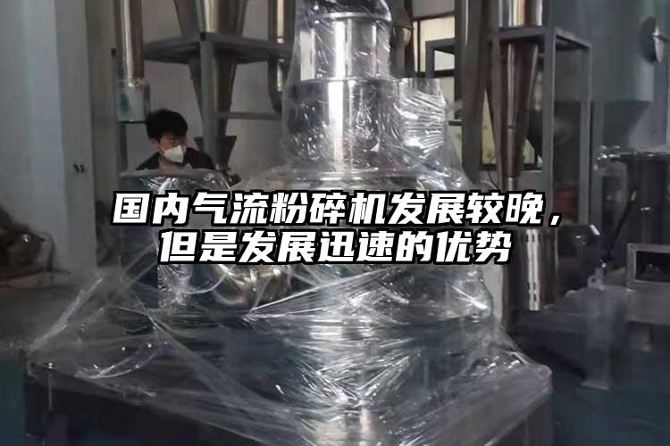國內氣流粉碎機發(fā)展較晚，但是發(fā)展迅速的優(yōu)勢