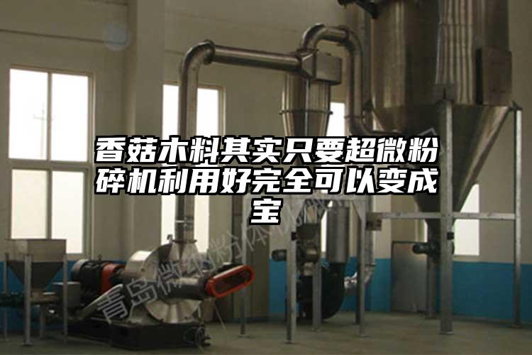 香菇木料其實(shí)只要超微粉碎機利用好完全可以變成寶