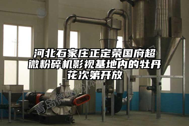 河北石家莊正定榮國府超微粉碎機影視基地內的牡丹花次第開(kāi)放