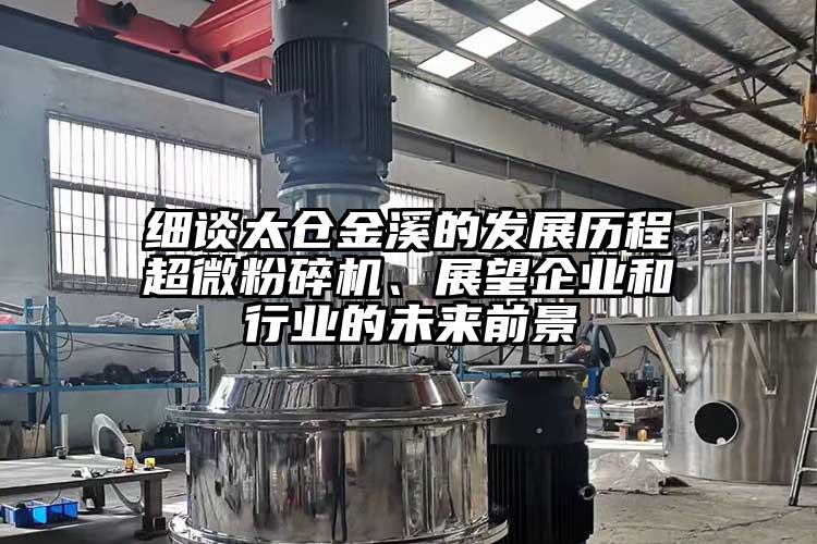 細談太倉金溪的發(fā)展歷程超微粉碎機、展望企業(yè)和行業(yè)的未來(lái)前景