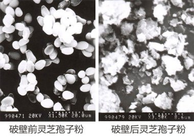 操作簡(jiǎn)便等氣流粉碎機眾多優(yōu)點(diǎn)